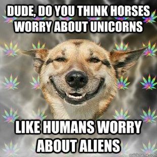 Stoner Dog