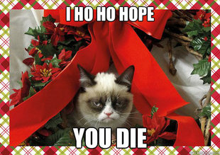A Grumpy Cat Christmas
