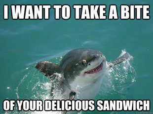 Misunderstood Shark