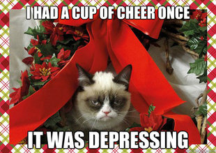 A Grumpy Cat Christmas