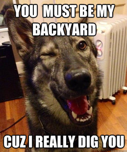 Pickup Pup