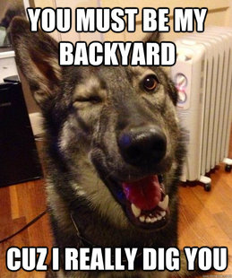 Pickup Pup