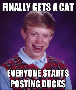 Bad Luck Brian