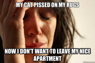 First World Problems