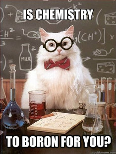 Chemistry Cat