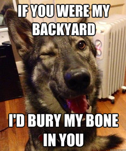 Pickup Pup