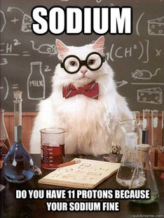 Chemistry Cat