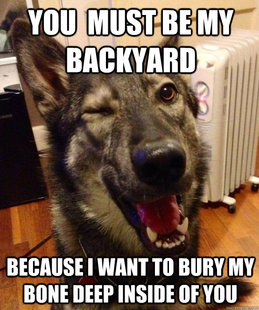 Pickup Pup