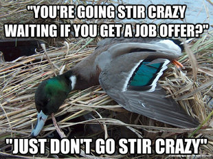 Worthless Advice Mallard