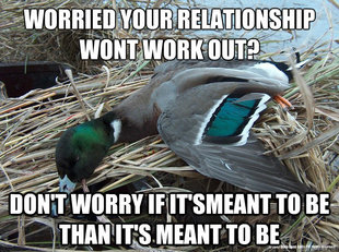 Worthless Advice Mallard