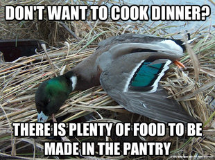 Worthless Advice Mallard