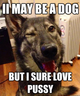 Pickup Pup