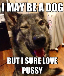 Pickup Pup