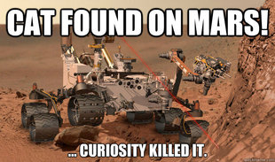 Unimpressed Curiosity