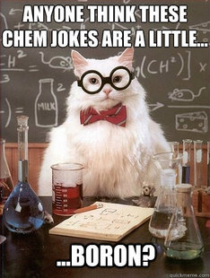 Chemistry Cat