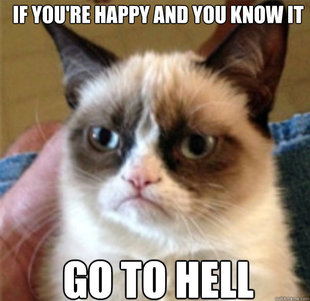 Grumpy cat