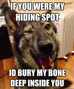 Pickup Pup