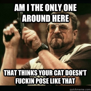 AM I THE ONLY ONE AROUND HERE