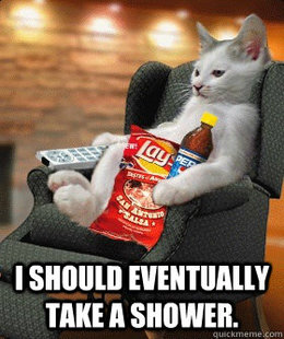 Unsophisticated Cat