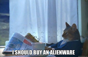 Sophisticated Cat