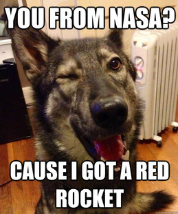 Pickup Pup