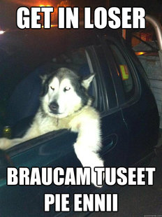 Mean Dog