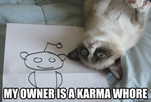 Sudden Clarity Grumpy Cat