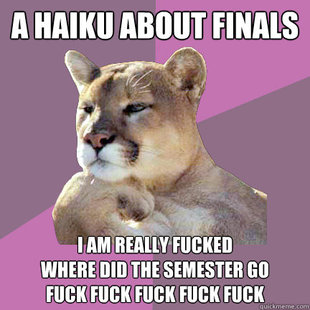 Poetry Puma