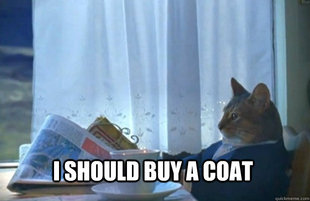 Sophisticated Cat