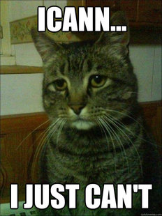 Depressed cat