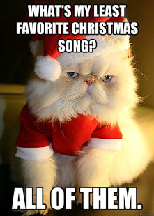 Angry cat