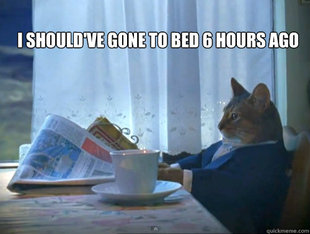 The One Percent Cat