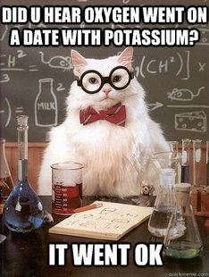 Chemistry Cat