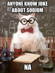 Chemistry Cat