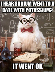 Chemistry Cat