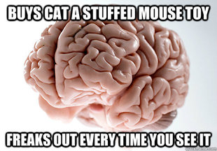 Scumbag Brain