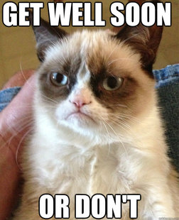 Grumpy cat