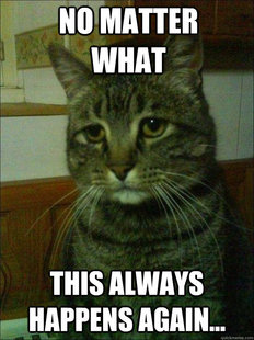Depressed cat
