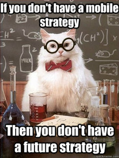 Chemistry Cat