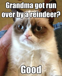 Grumpy cat