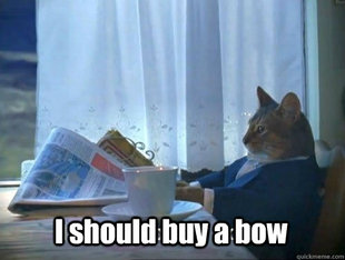 Fancy Cat
