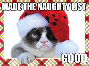 A Grumpy Cat Christmas