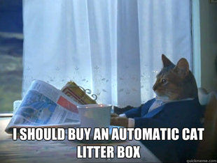 The One Percent Cat