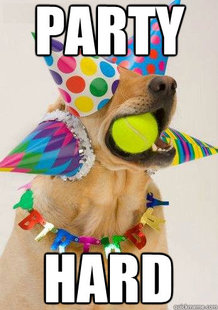 Birthday Dog