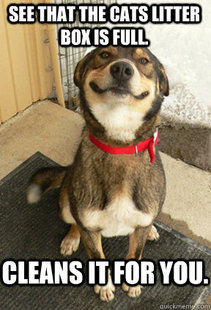Good Dog Greg