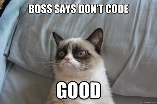 GrumpyCatOL