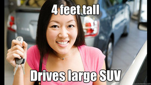 Female Asian Driver