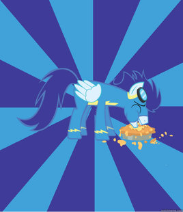Foal Bachelor Brony