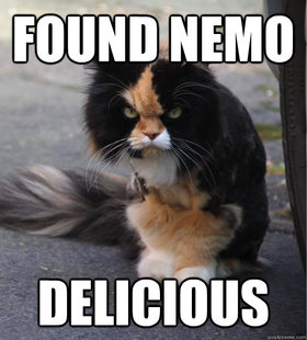 Evil Cat
