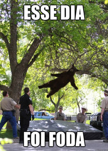 Falling Bear